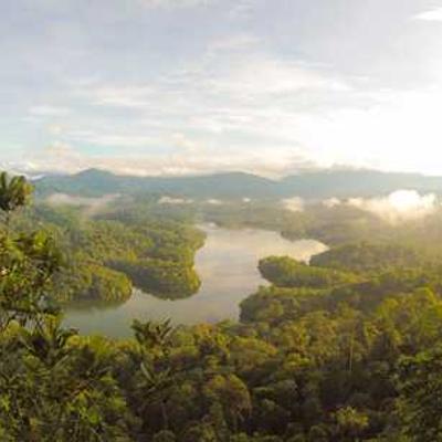 Headshot of Leonardo